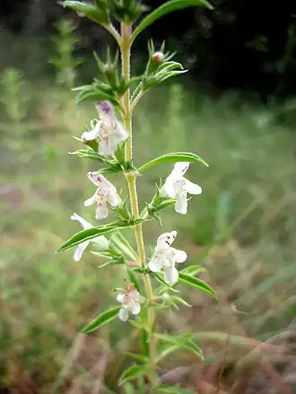 alternativní popis obrázku chybí