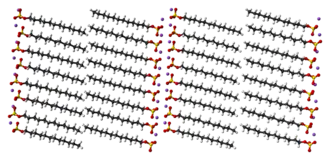 Krystalová struktura SDS