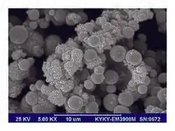 Nanočástice CuO – snímek ze skenovacího elektronového mikroskopu (SEM)