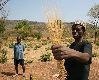 popis obrázku chybí