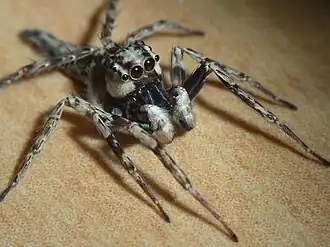 alternativní popis obrázku chybí