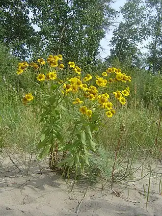 alternativní popis obrázku chybí