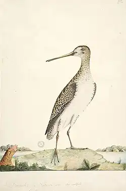 Ilustrace z let 1791–1792