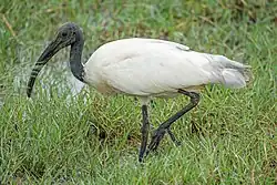 alternativní popis obrázku chybí