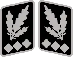 Oberstgruppenführer