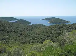 Pohled na ostrov Mrčara