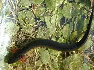 alternativní popis obrázku chybí