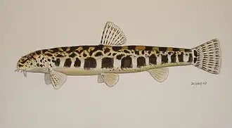 alternativní popis obrázku chybí