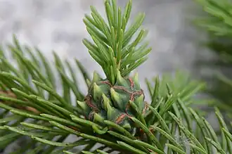 popis obrázku chybí