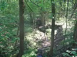 Šachetský potok pod Černou roklí