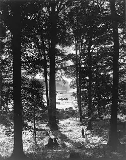 Sacred Grove (1907)