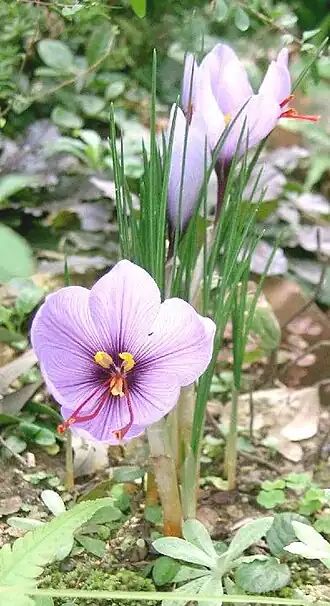 alternativní popis obrázku chybí