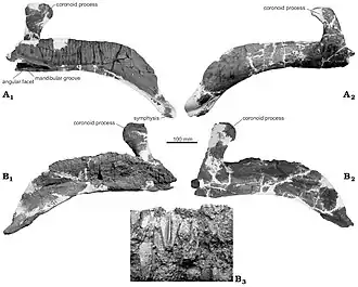 alternativní popis obrázku chybí