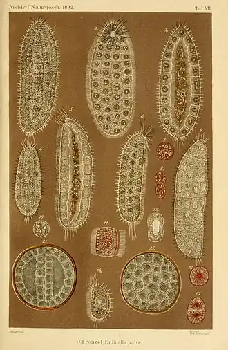 alternativní popis obrázku chybí