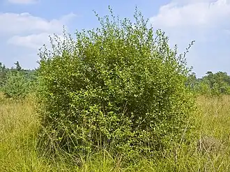 alternativní popis obrázku chybí