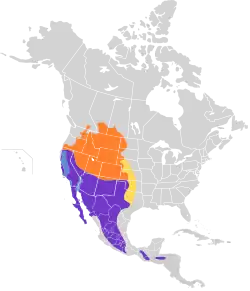 Areál rozšíření