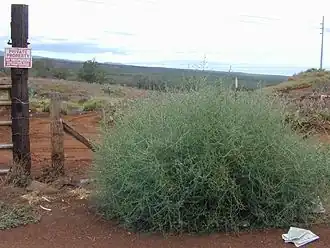 alternativní popis obrázku chybí