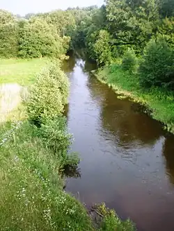 Šaltuona u městysu Eržvilkas