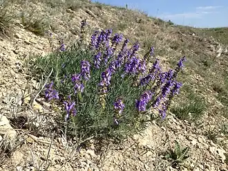 alternativní popis obrázku chybí