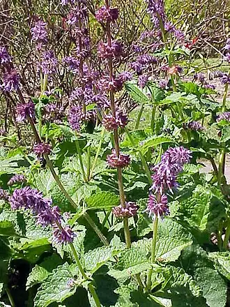 alternativní popis obrázku chybí