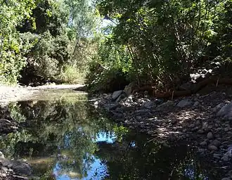 San Francisquito Creek