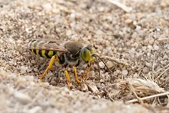 alternativní popis obrázku chybí