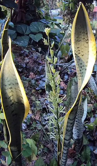 alternativní popis obrázku chybí