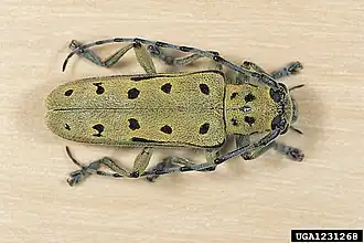 alternativní popis obrázku chybí