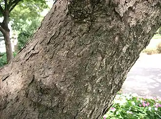 popis obrázku chybí