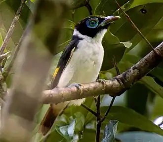 alternativní popis obrázku chybí