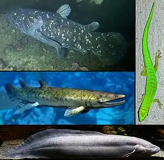 alternativní popis obrázku chybí