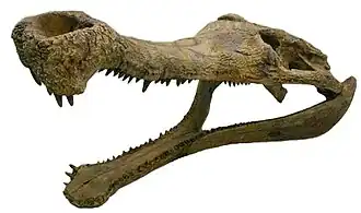 alternativní popis obrázku chybí