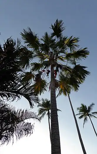 alternativní popis obrázku chybí