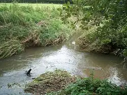 ústí Satkuly do Klášterní vody