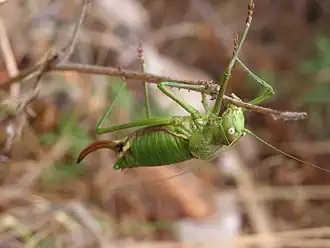 alternativní popis obrázku chybí