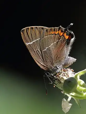 alternativní popis obrázku chybí