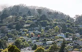 domy na kopcích nad Sausalitem