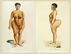 Sarah Baartman byla vystavovaná jako „Hotentotská Venuše“