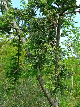 alternativní popis obrázku chybí