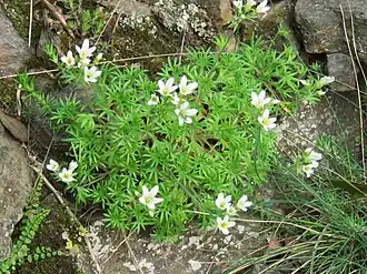 alternativní popis obrázku chybí