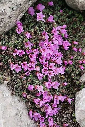 alternativní popis obrázku chybí