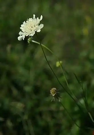 alternativní popis obrázku chybí