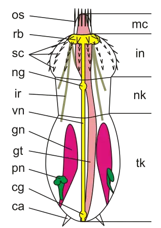 alternativní popis obrázku chybí