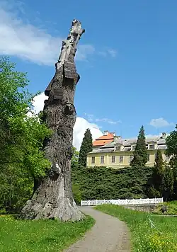 Torzo stromu v roce 2021