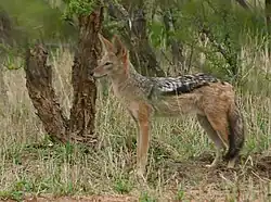 alternativní popis obrázku chybí