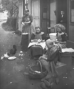 Domácí práce na vesnici, 1908