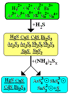 Schéma rozdělení II. třídy kationtů na II.a třídu a II.b třídu