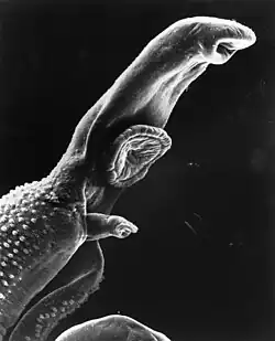 alternativní popis obrázku chybí