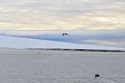 Ledovec na Šmidtově ostrově