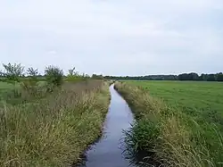 Fuhne (západní část) u obce Schortewitz